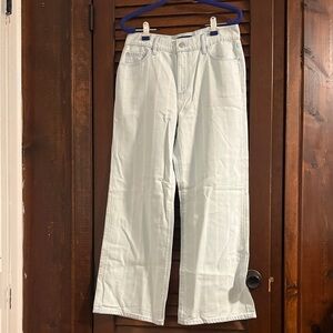 Ann Taylor Light Blue Wide Leg Jeans